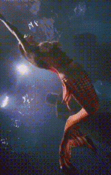 这条美人鱼在那个海域啊